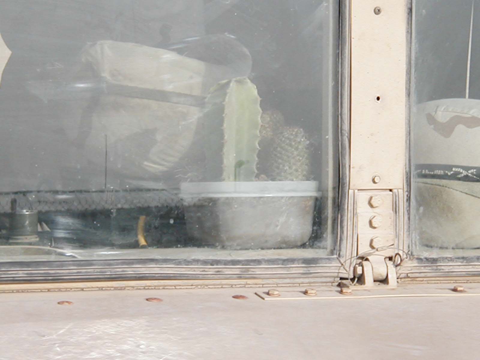Cactus-2