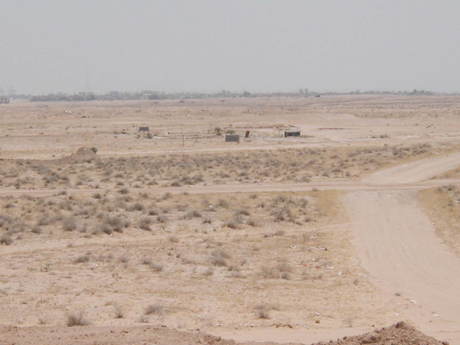 Oasis1