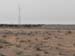 Camels1
