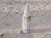 UXO5